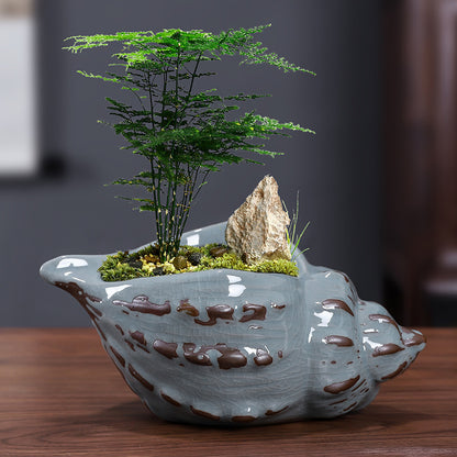 Ceramic Decorative Bonsai Pot Basin