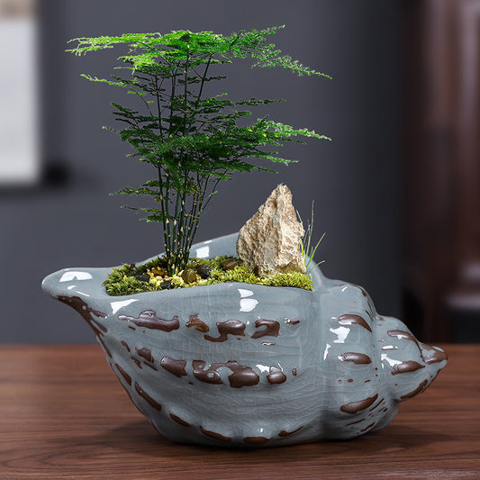 Ceramic Decorative Bonsai Pot Basin