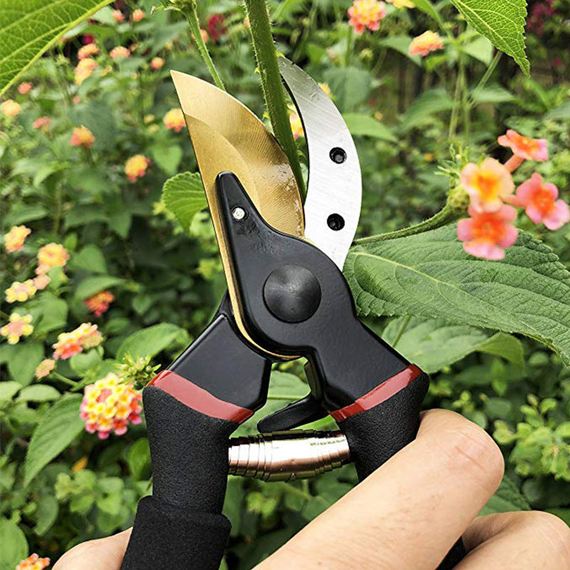 Garden Tool Pruning Shears With Safety Lock