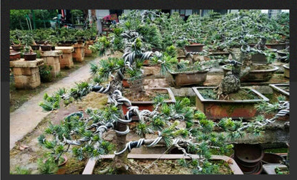 Bonsai Shaping Wire Aluminum, Different Sizes Available