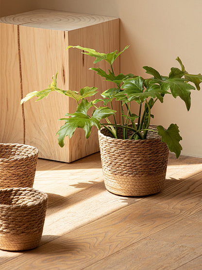 Woven Rattan Vine Plant Pot