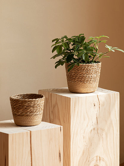 Woven Rattan Vine Plant Pot