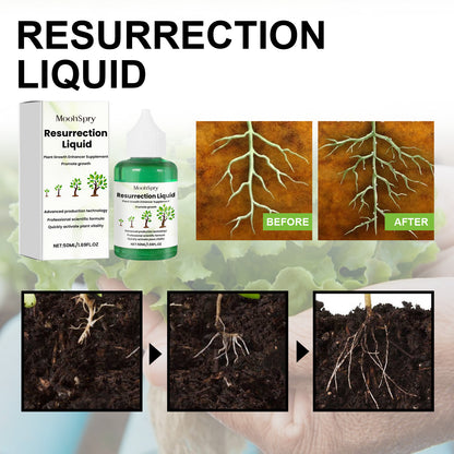 Plant Growth Resurrection Fertilizer Food