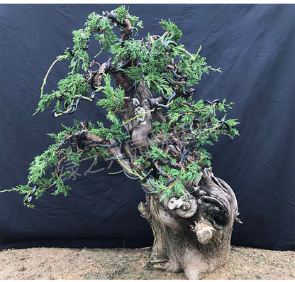 Bonsai Shaping Wire Aluminum, Different Sizes Available