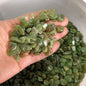 Green Apatite Bonsai Decorative Stone Gravel