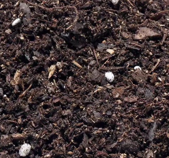 Micro Landscape Sphagnum Moss and Pumice Stone Substrate