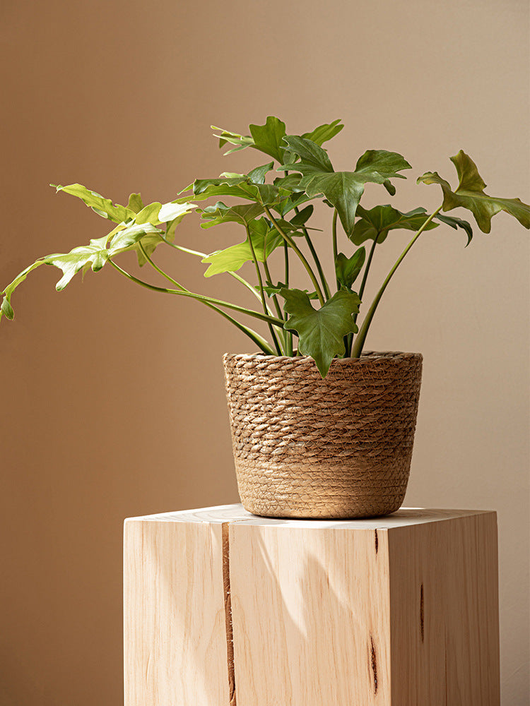 Woven Rattan Vine Plant Pot