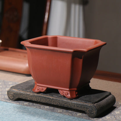 Purple Sand Flower Pot Square Square Bonsai