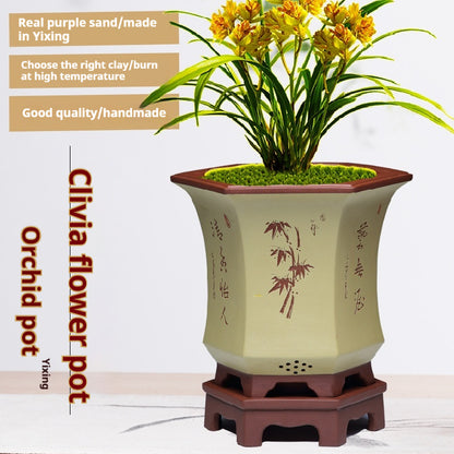 Orchid Pots Indoor Purple Sand Hexagonal Flowerpot Ceramic