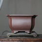 Purple Sand Flower Pot Square Square Bonsai
