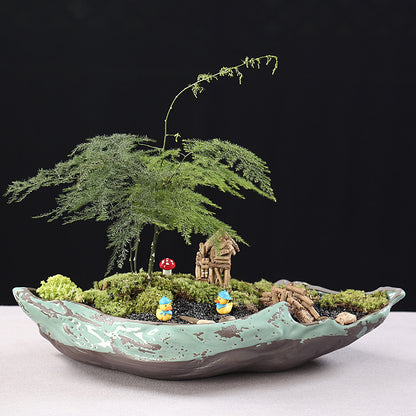 Ceramic Decorative Bonsai Pot Basin