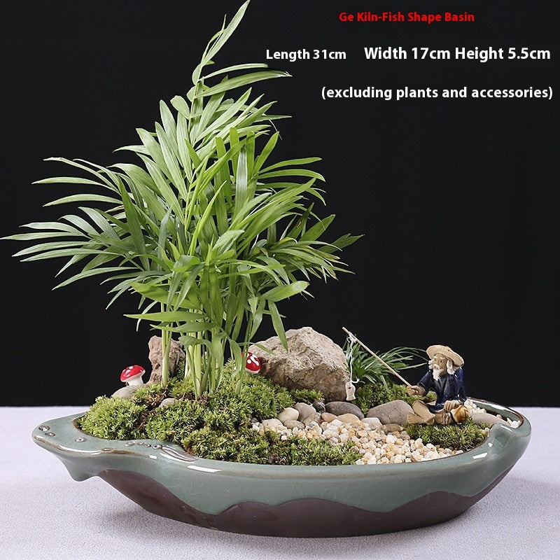 Ceramic Decorative Bonsai Pot Basin