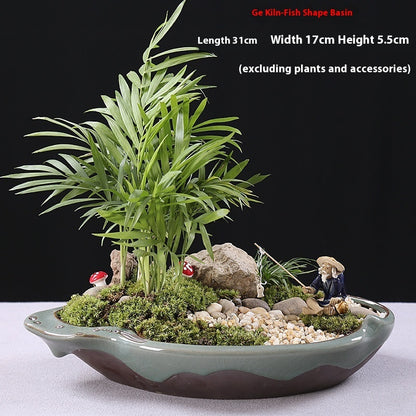 Ceramic Decorative Bonsai Pot Basin