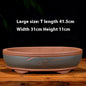 Purple Sand Flowerpot Rectangular Bonsai Pot