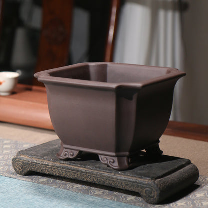 Purple Sand Flower Pot Square Square Bonsai