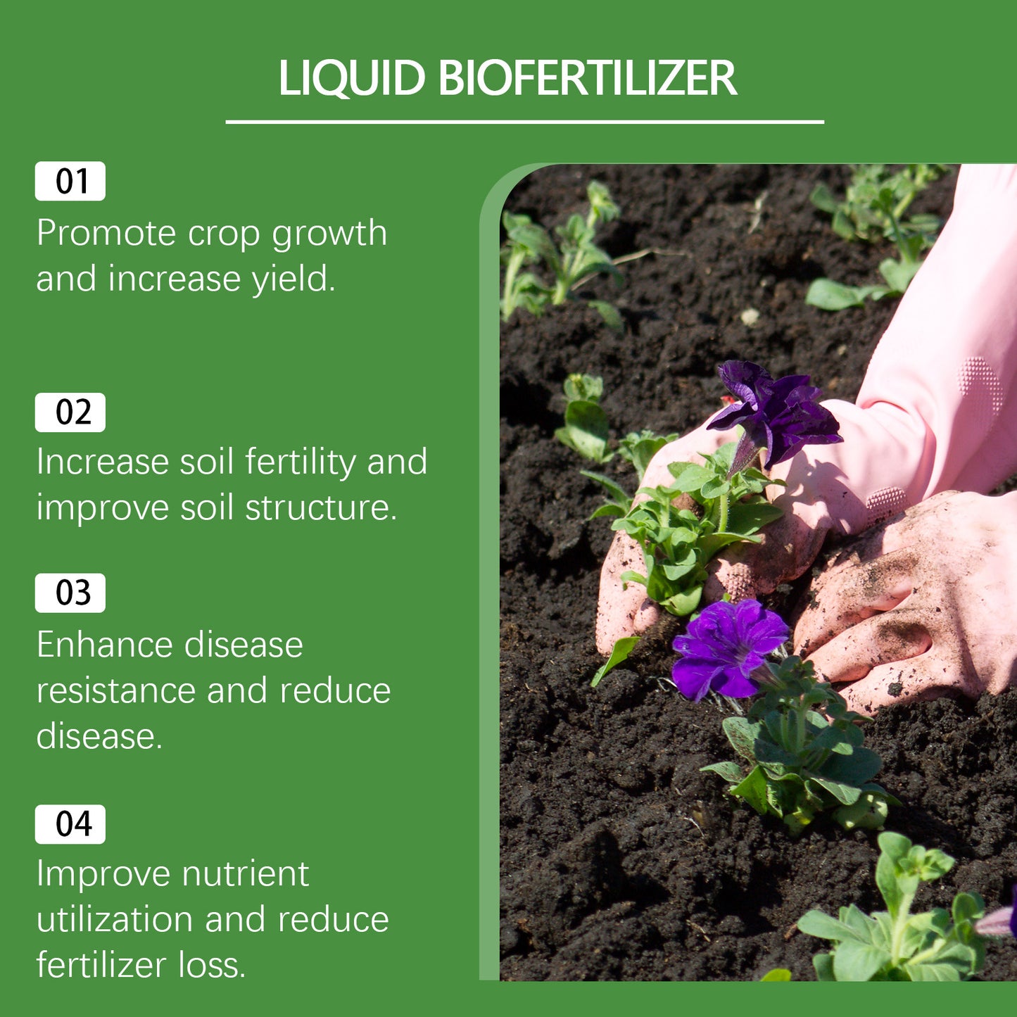 Plant Nutrient Solution Fruit And Vegetable Gardening Pot Flower Universal Fertilizer