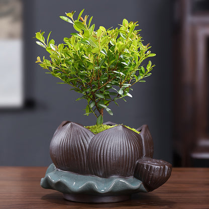 Ceramic Decorative Bonsai Pot Basin