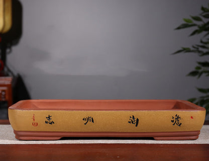 Rockery Bonsai Basin Extra Large Ceramic Non-porous Shallow Basin Landscape Bonsai