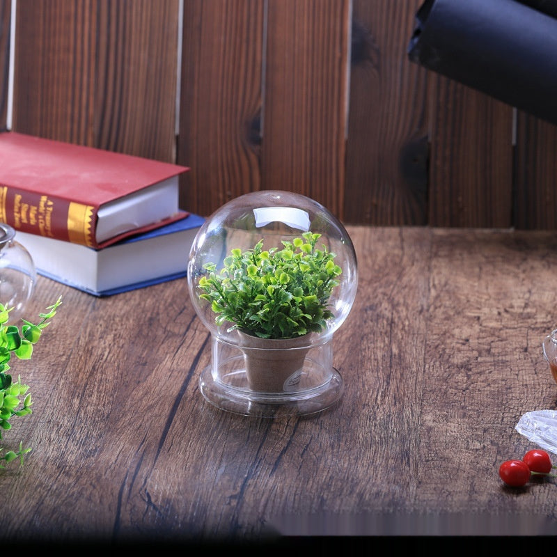 Micro Landscape Glass Round Cover Bonsai Decorative Cover Transparent Dust Cover