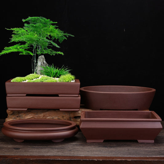 Purple Sand Flowerpot Square Desktop Green Plant Bonsai Basin