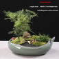 Ceramic Decorative Bonsai Pot Basin