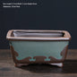 Ceramic Decorative Bonsai Pot Basin