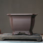 Purple Sand Flower Pot Square Square Bonsai
