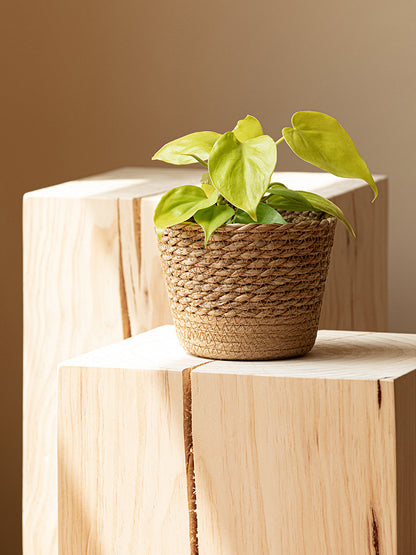 Woven Rattan Vine Plant Pot
