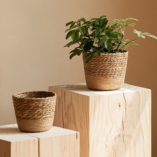 Woven Rattan Vine Plant Pot