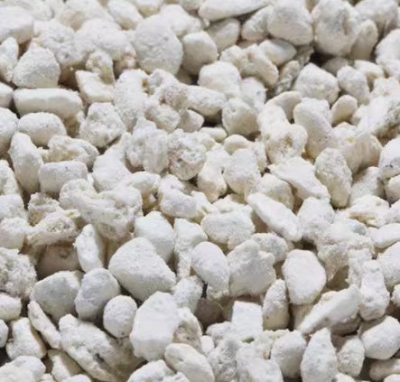 Micro Landscape Sphagnum Moss and Pumice Stone Substrate