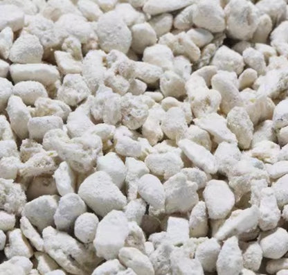 Micro Landscape Sphagnum Moss and Pumice Stone Substrate