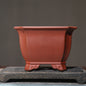 Purple Sand Flower Pot Square Square Bonsai